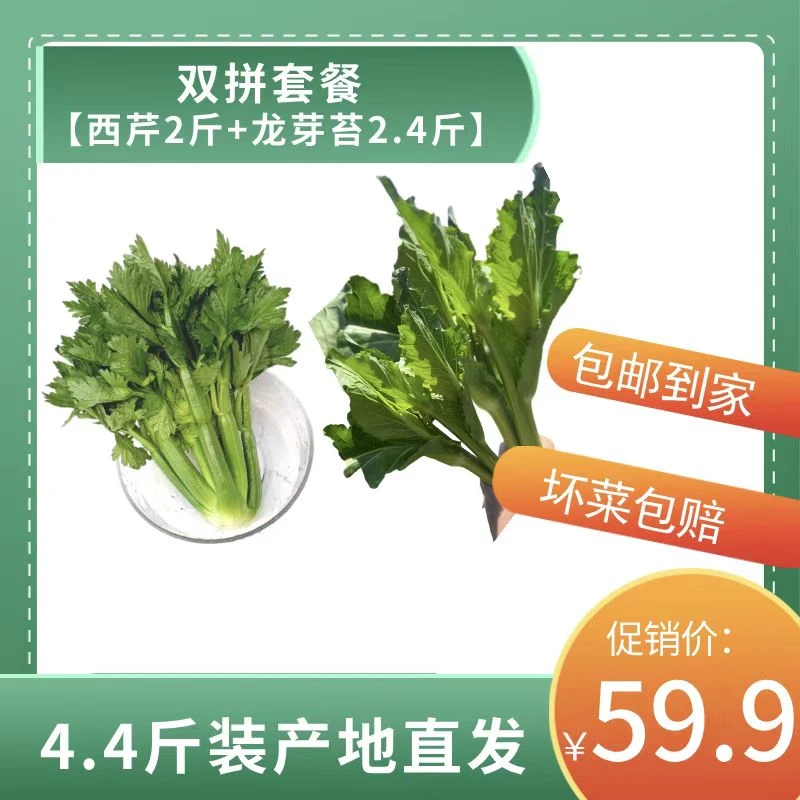 专属云南维康高原蔬菜双拼套餐【2斤西芹+2斤甜杆龙芽苔】基地直发