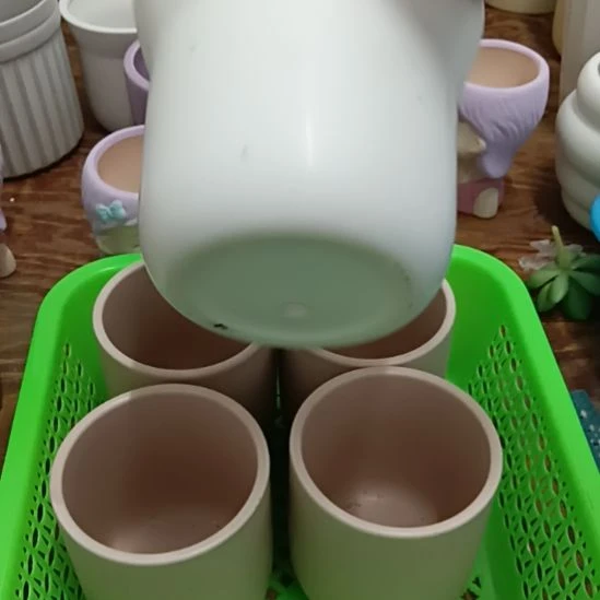 陶瓷花盆凑满12发货