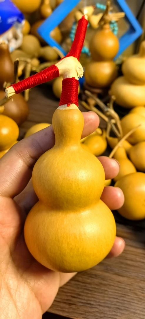 1号天然葫芦直播专用