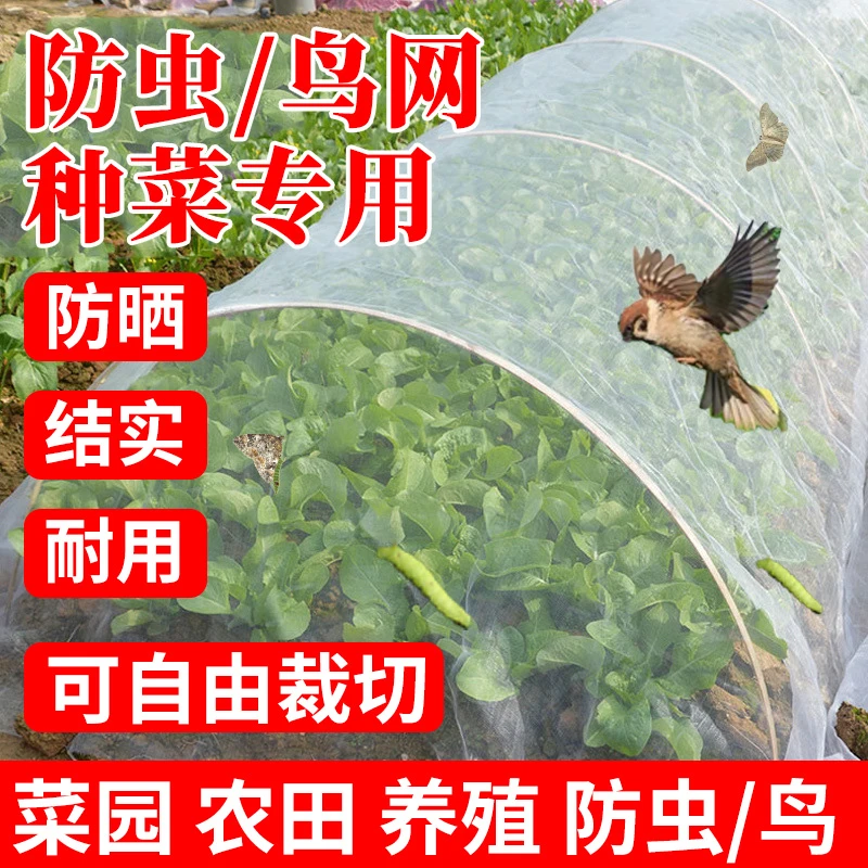 防鸟虫网罩蔬菜防虫果园防鸟网农用葡萄苹果桃树专用小网孔防护网
