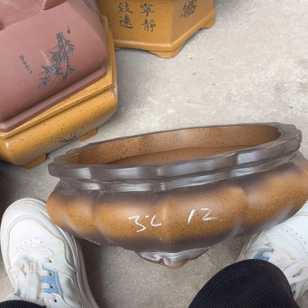 花盆紫砂盆景艺术