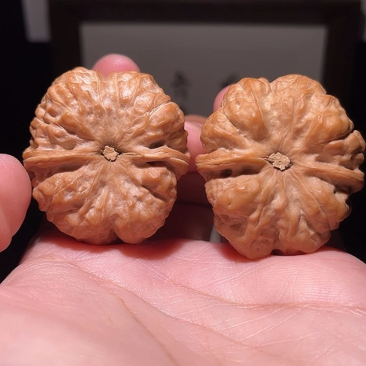 君***ㅤ核桃把件蛤蟆头