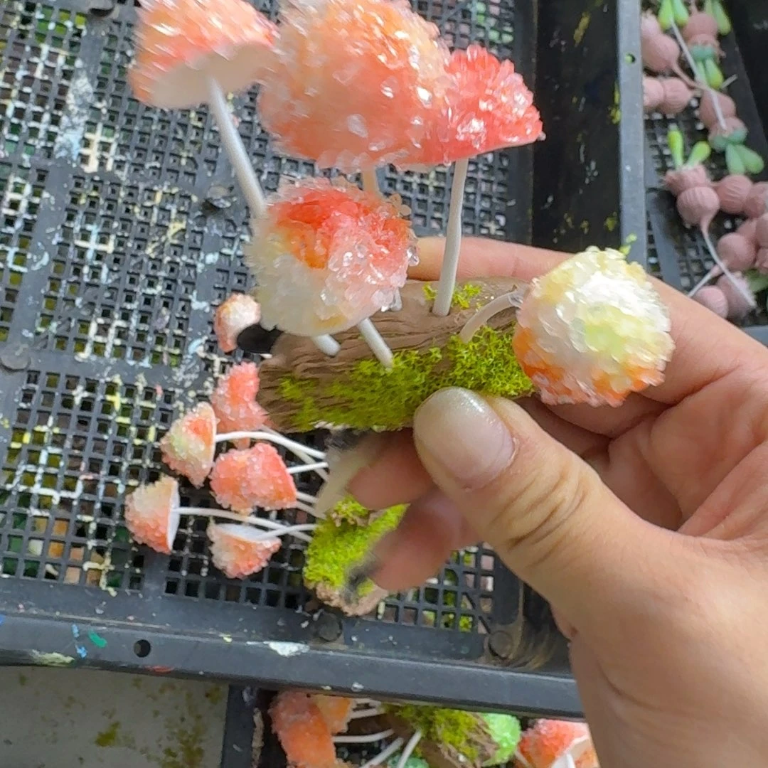 树脂制品 8号噢噢噢哦哦