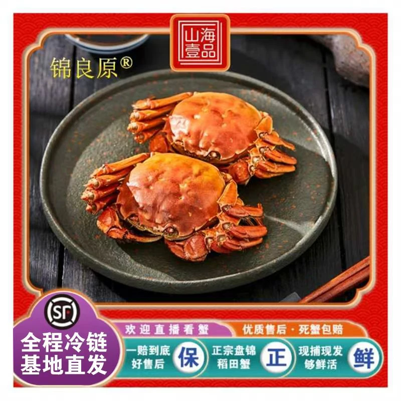 【活蟹】辽宁卫视推荐盘锦河蟹1.0-0.8两/只母蟹 20只送10只到手30只基地直发顺丰包邮死蟹包赔