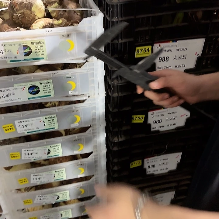 启示录36/38福利丑球