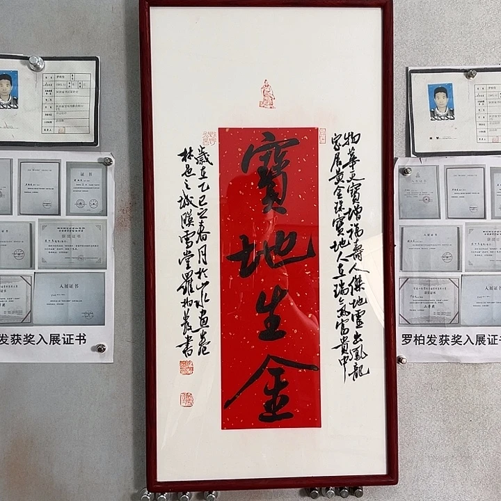 罗柏发老师的作品