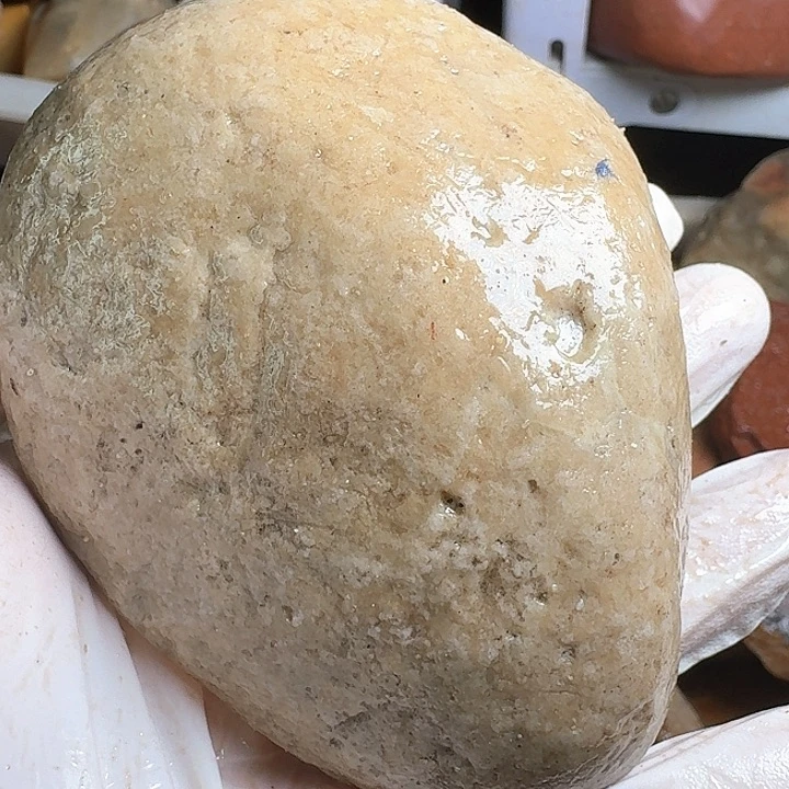 寿山石白*树寿山石的颜色