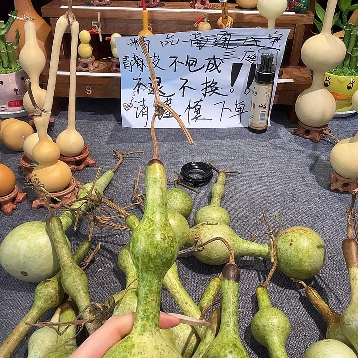 共***时葫芦葫芦hul葫芦葫芦