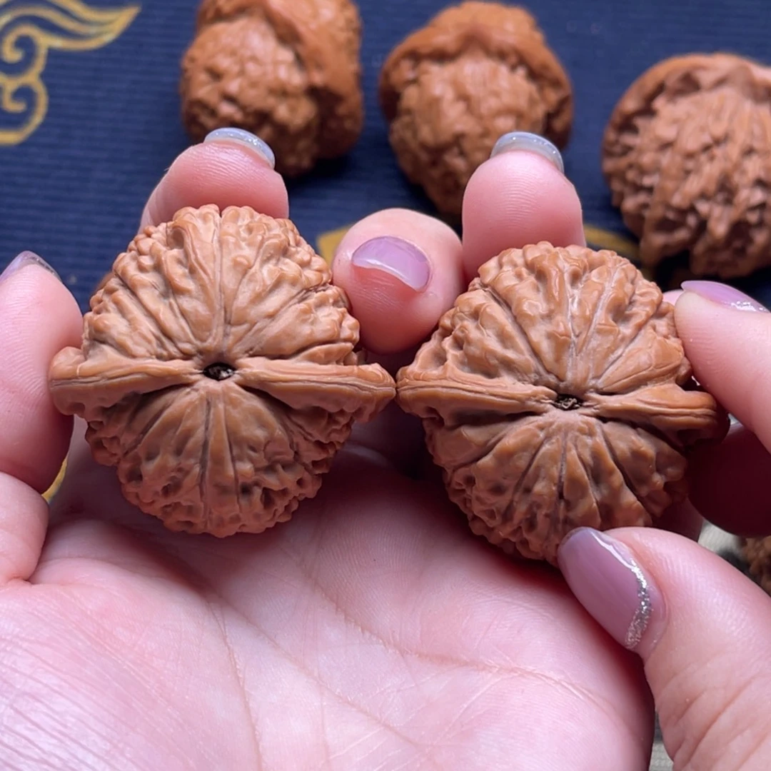 没***玩核桃莲花高端小众微修