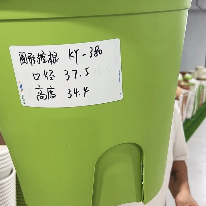 正品圆控口38高34果绿无托3只