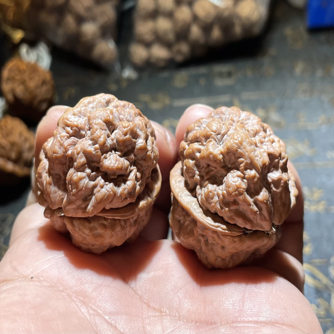 纯野生文玩铁核桃血舍利肌肉蟾金蟾疙瘩包蛤蟆头狮子头小精品火焰