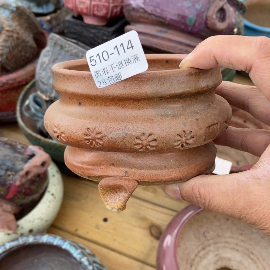 梅*114号多肉盆一个呀