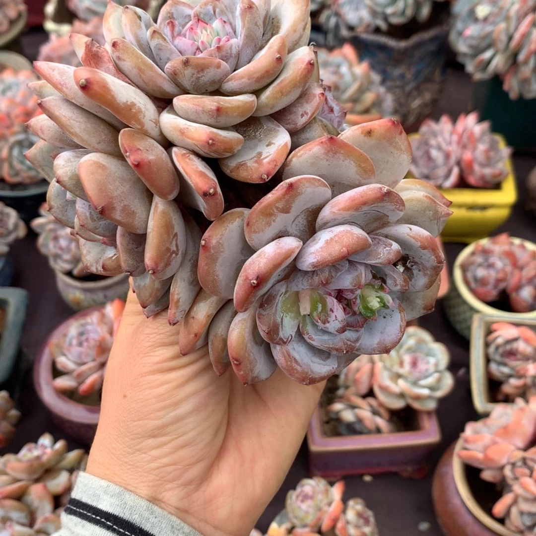 哈哈哈哈哈哈哈哈哈哈