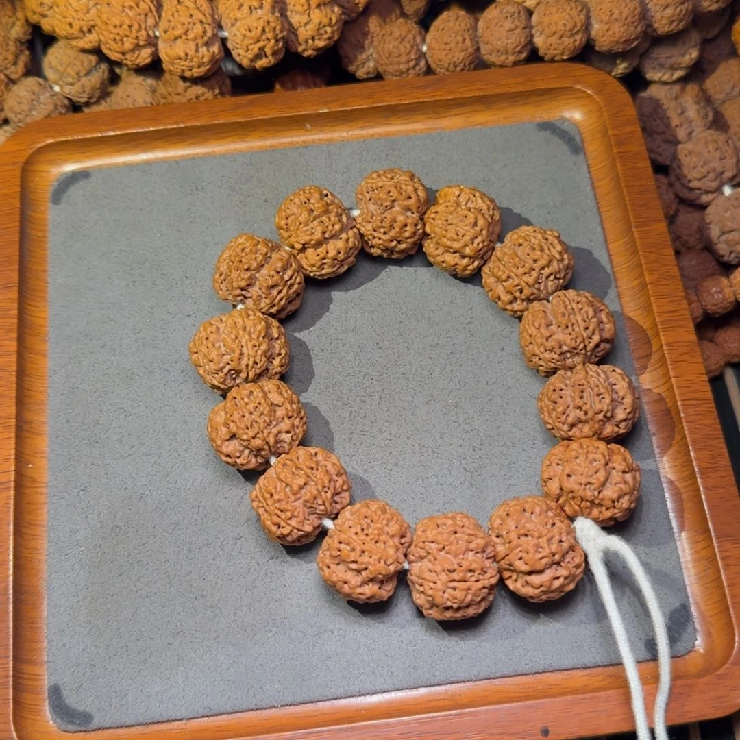 2号尼泊尔大金刚24粗筋梅花双龙