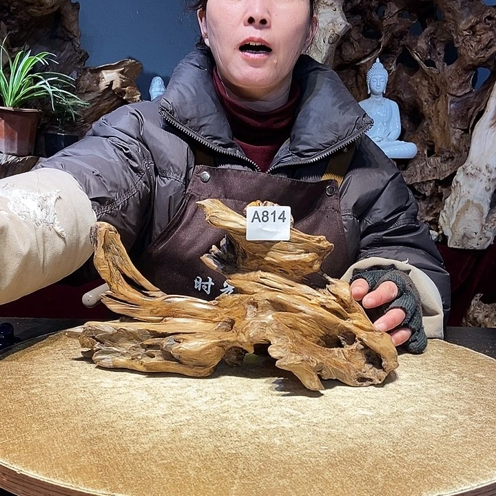 一**北814。株木随行根艺