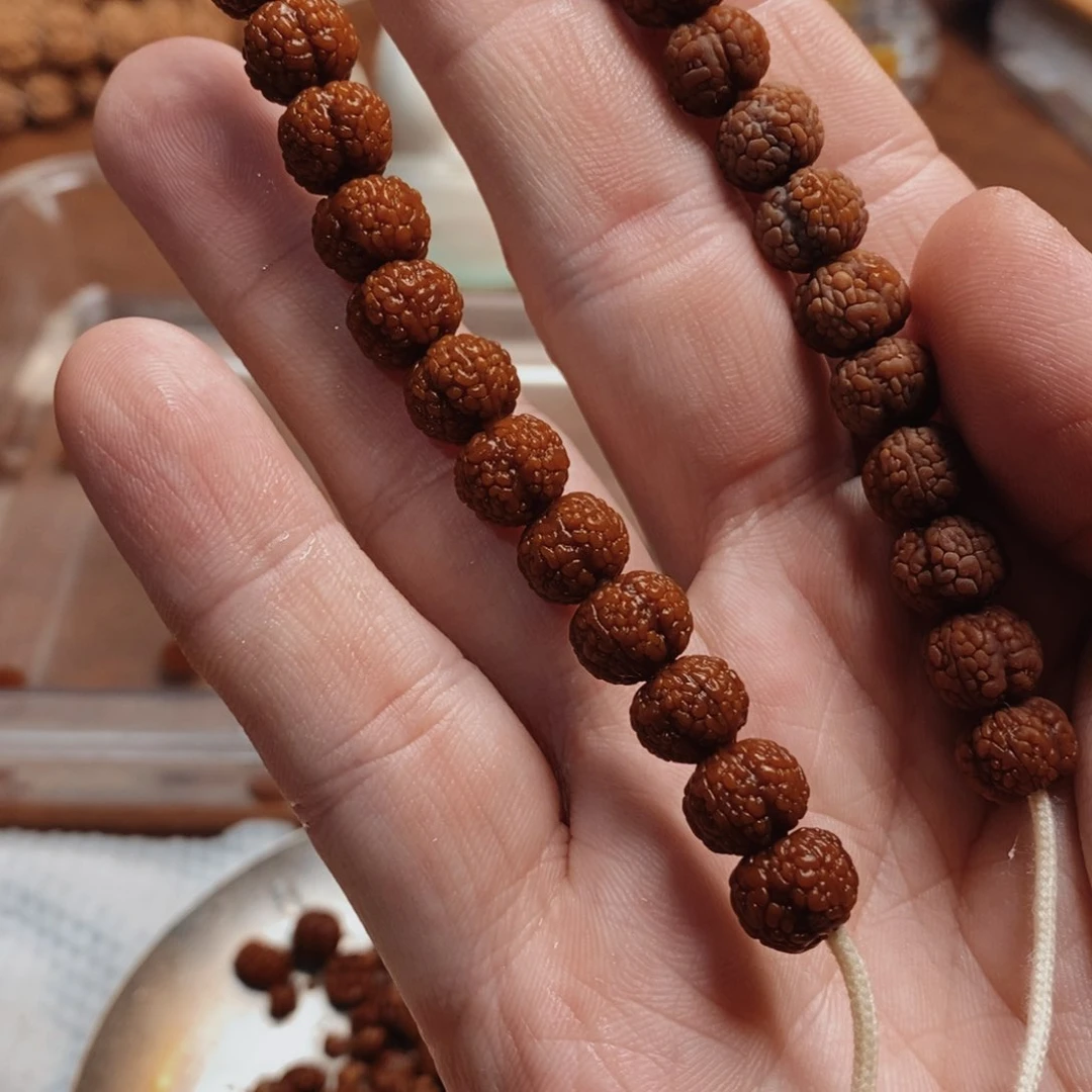 金刚菩提手串龙鳞毒药1.1