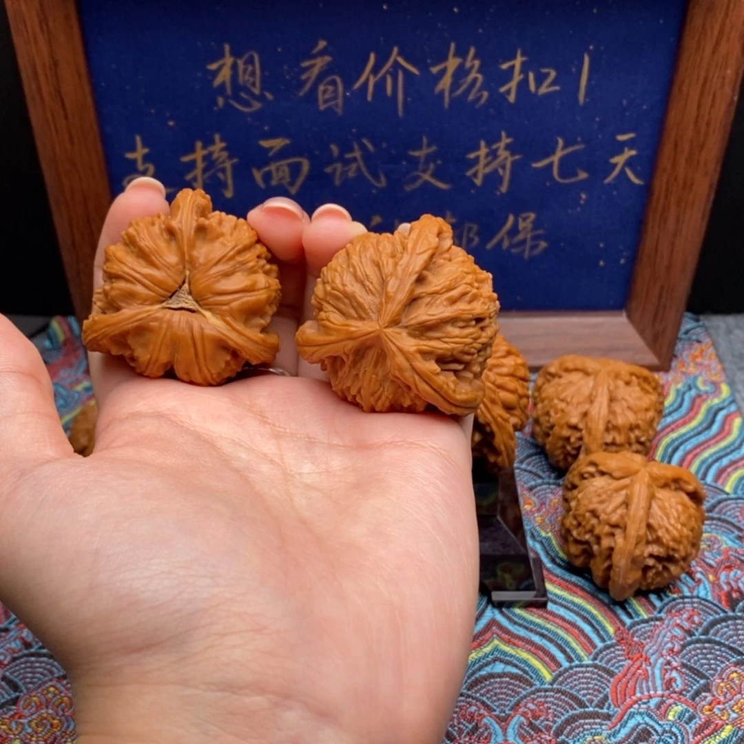 【闪购商品】绍*白狮