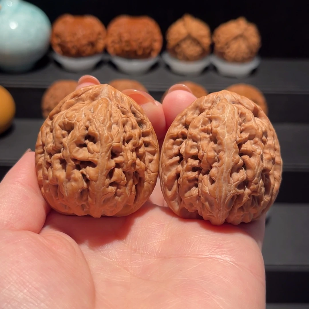 红锦鲤44精品，毕业722