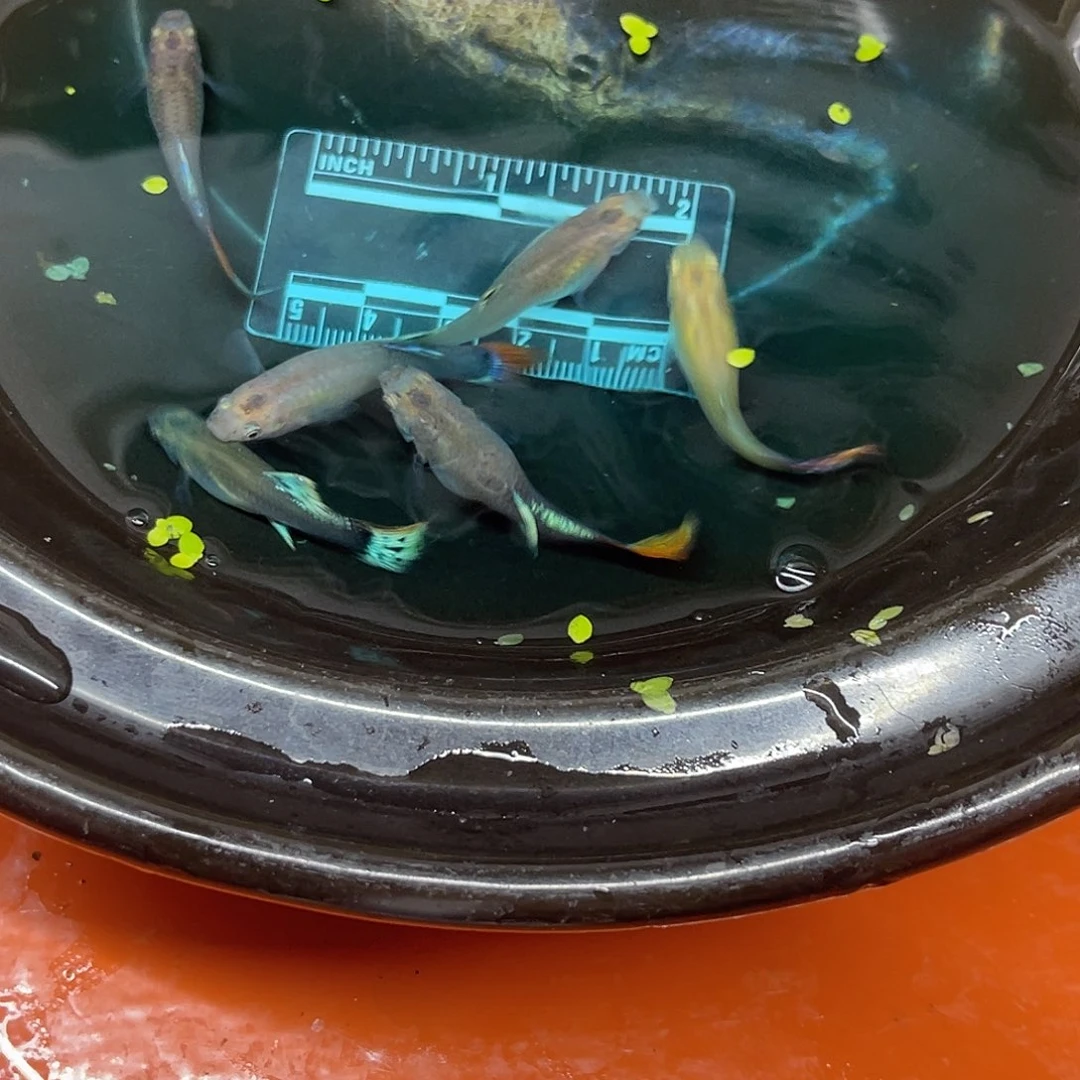 海水50号哈哈哈哈哈哈