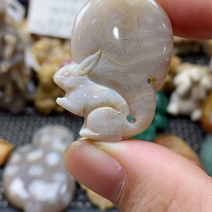 硅化珊瑚（珊瑚玉）颈饰未镶嵌