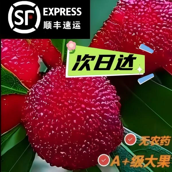 【次日达顺丰冷链到家】福建浮宫杨梅4斤新 鲜杨梅现货正宗浮宫杨梅现摘鲜果孕妇儿童酸甜当季水果新鲜杨梅