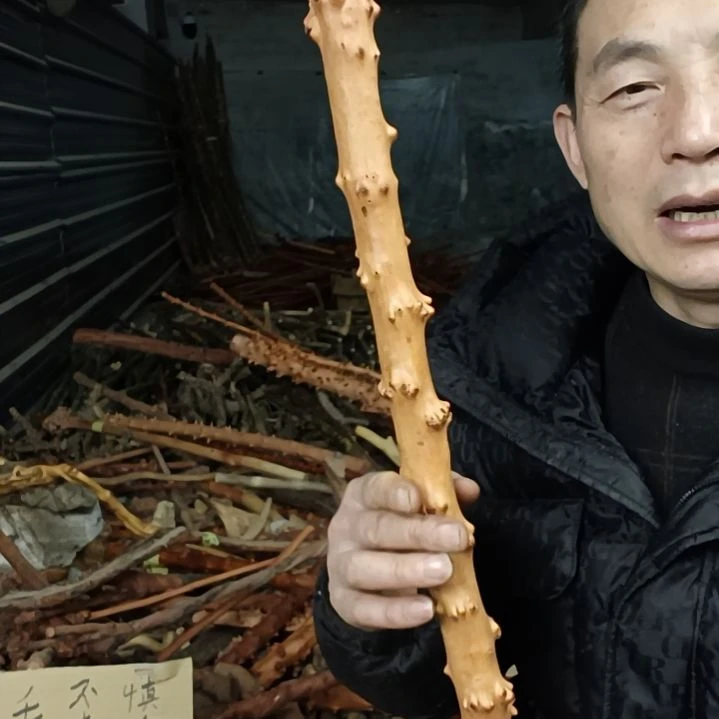稳定木用****春贵州檬子木   铁马鞭   根艺  半成品