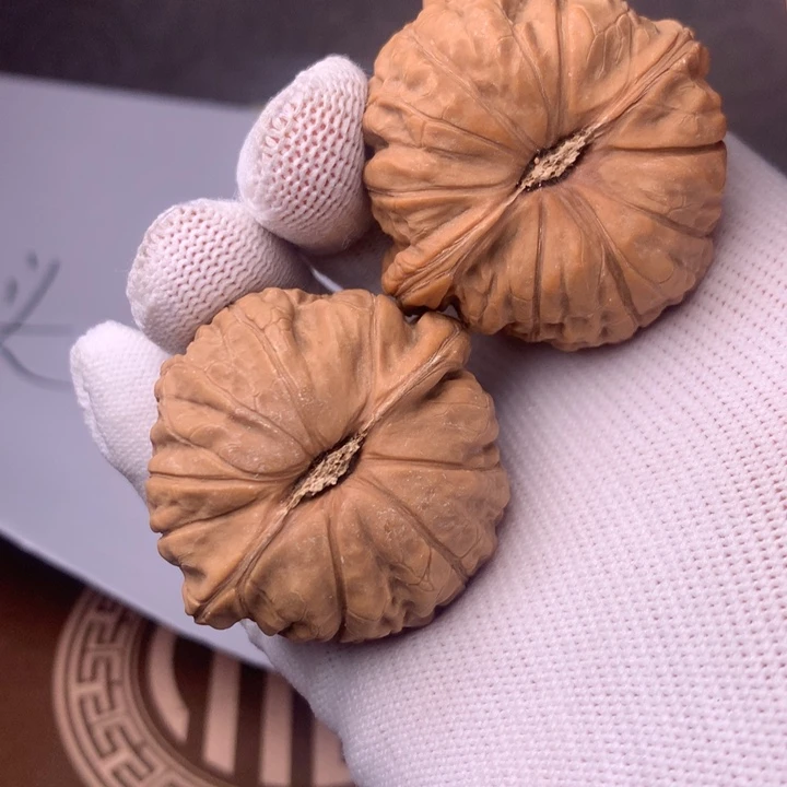 刀***客南瓜15颗一包装的