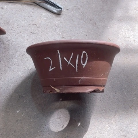 100-8。       21-10