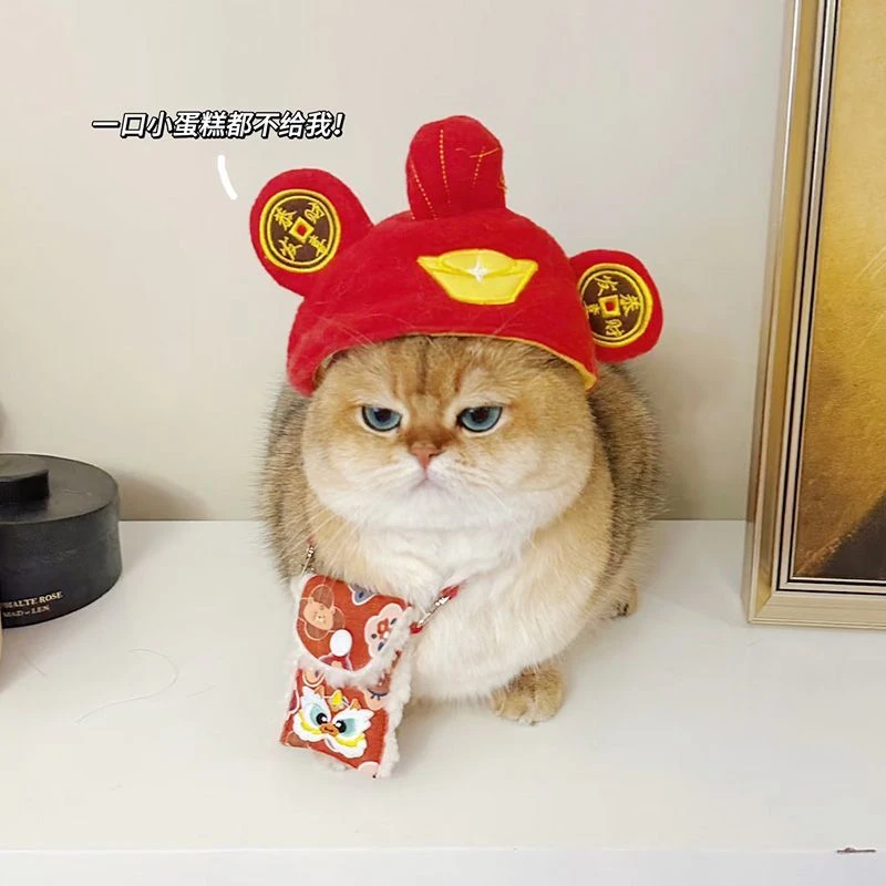 猫咪帽子财神元宝头套可爱搞怪喜庆装扮头饰财神爷变装帽宠物狗狗