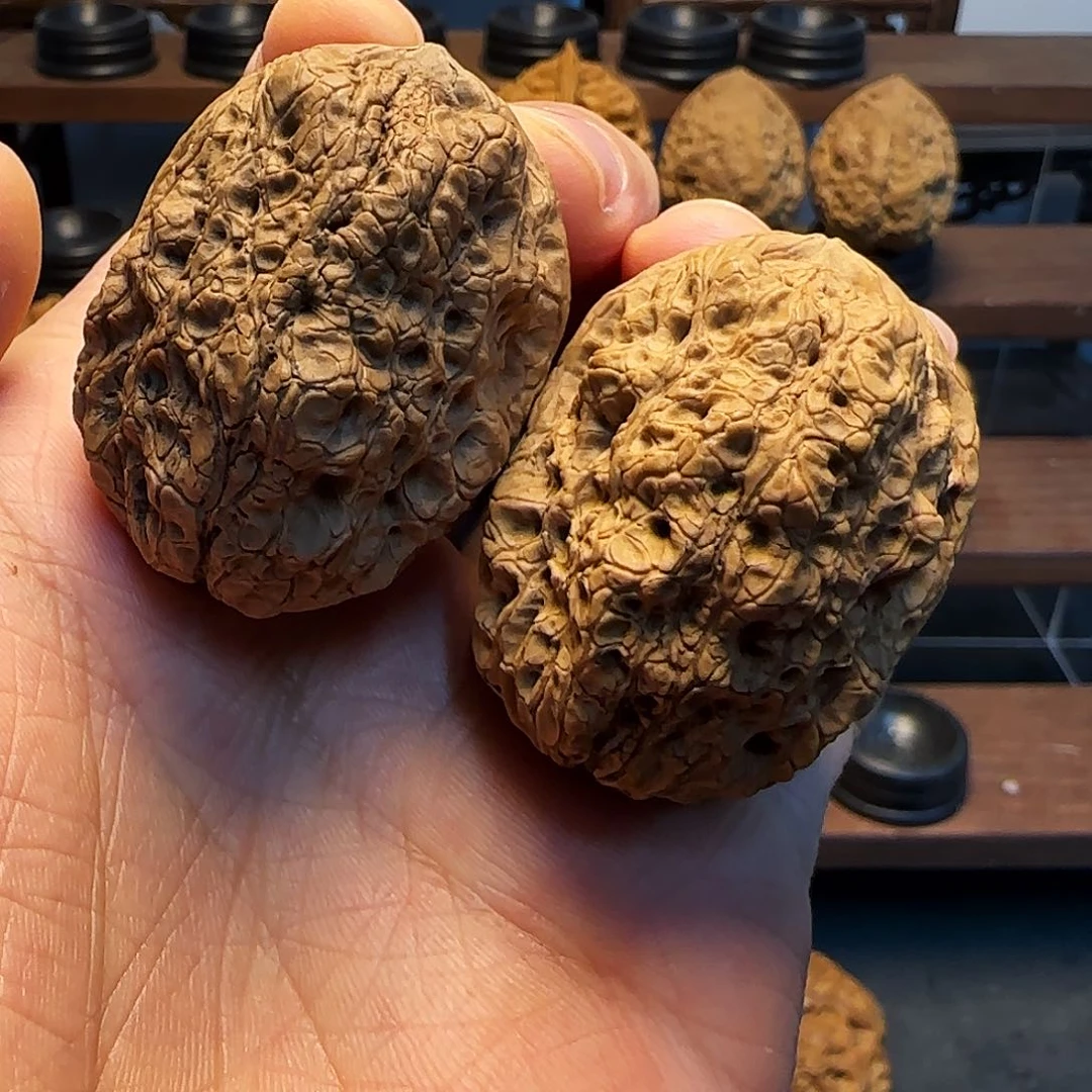 文玩核桃把件古树