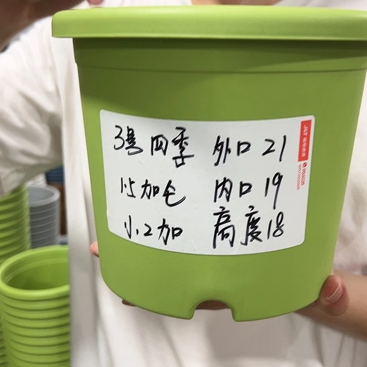 特价3号口21高18果绿色10只无托