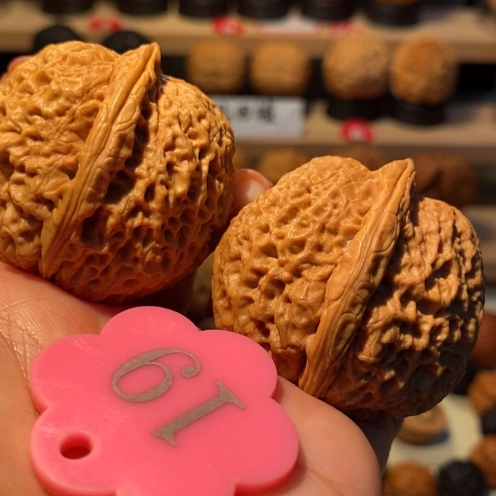 菩提籽类龙鳞铁狮子43尺寸，大克重63克