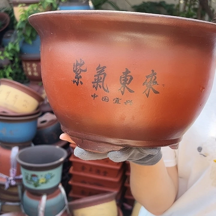 30紫气东来花盆花盆花盆