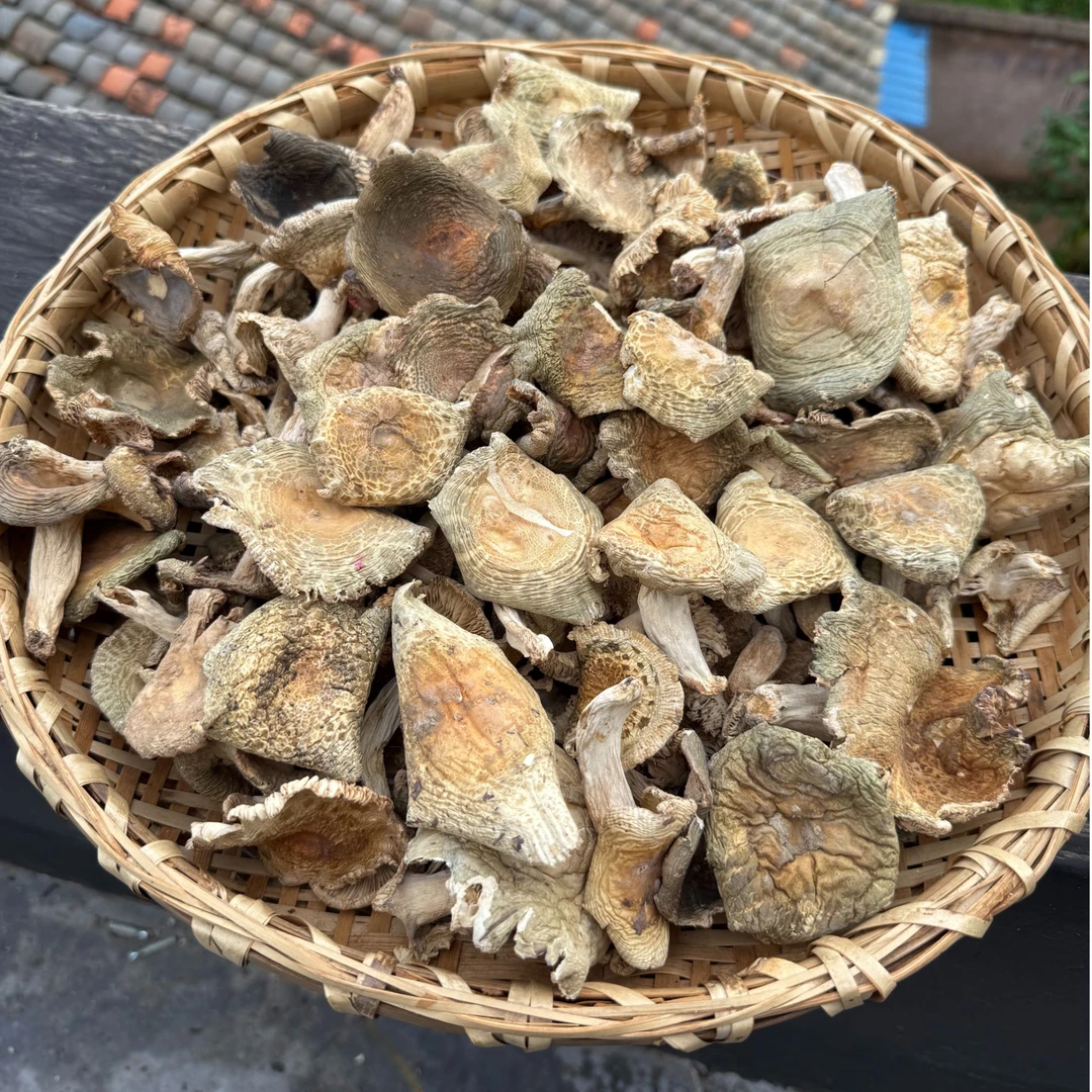 【青头菌】云南青头菌绿豆菌变绿红菇新货干菌煲汤鲜美脆嫩