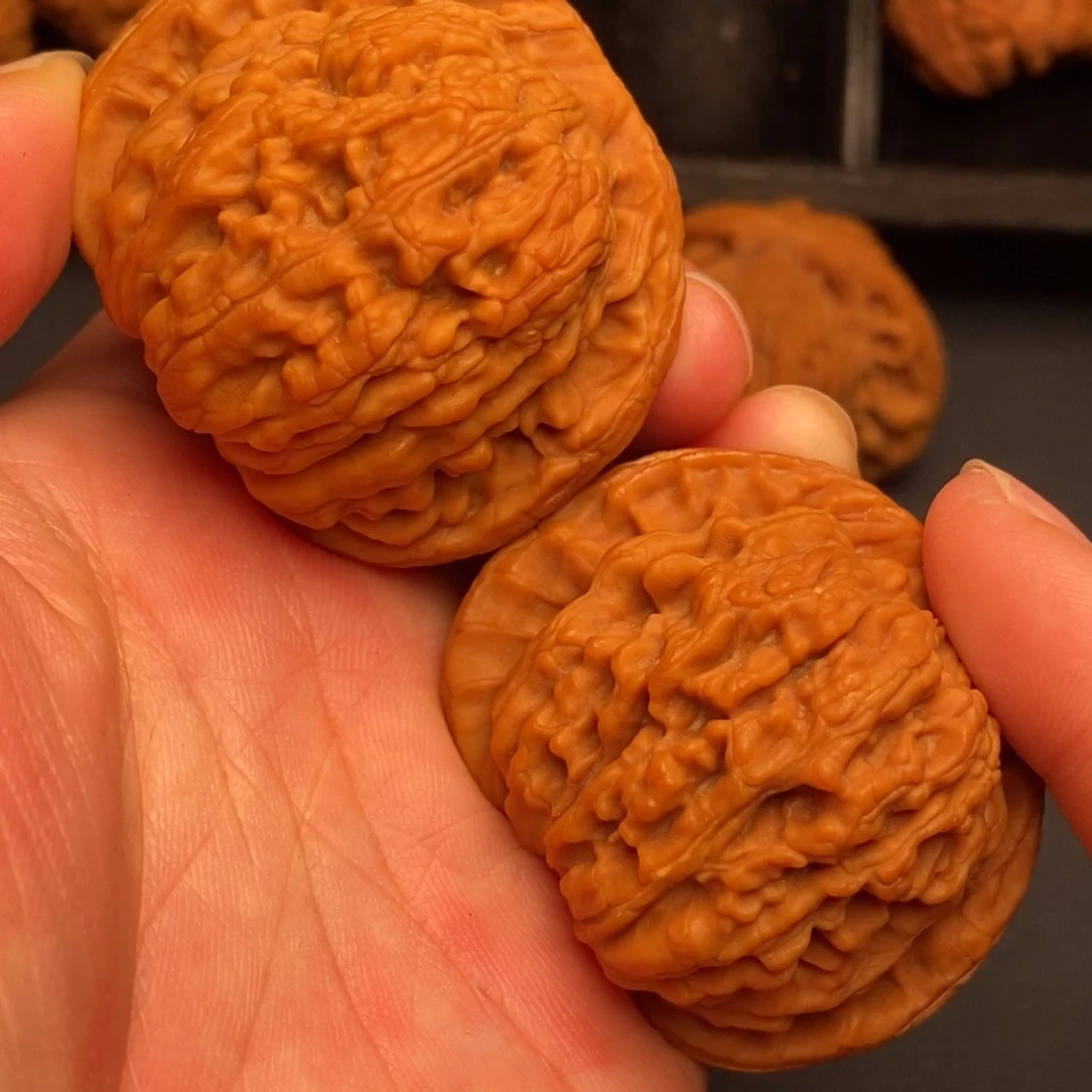 秦岭野生文玩核桃