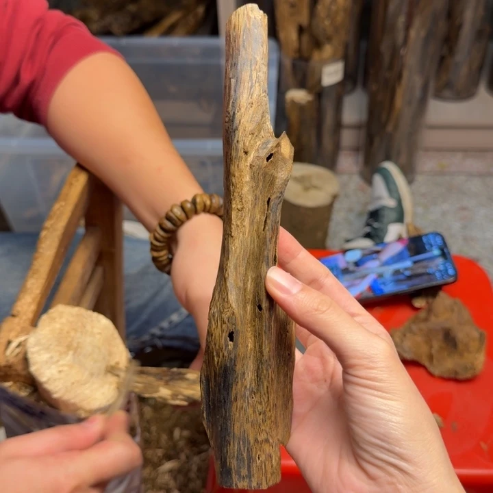 沉香沉香碎屑白棋块料54克