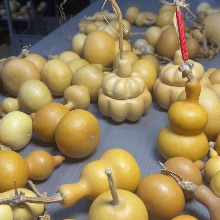 ****王健健康康快快乐乐