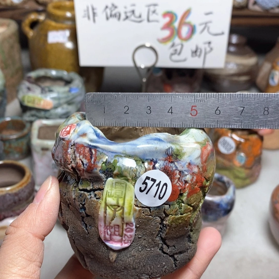 特价花盆不退不换原价82