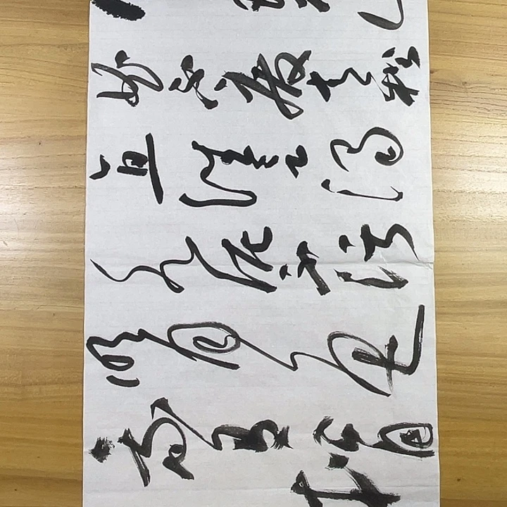 书法中书协老师作品