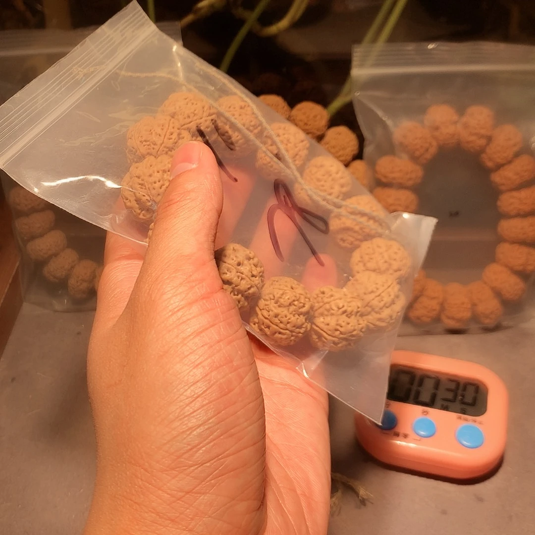 金刚菩提手串钰*乐16。