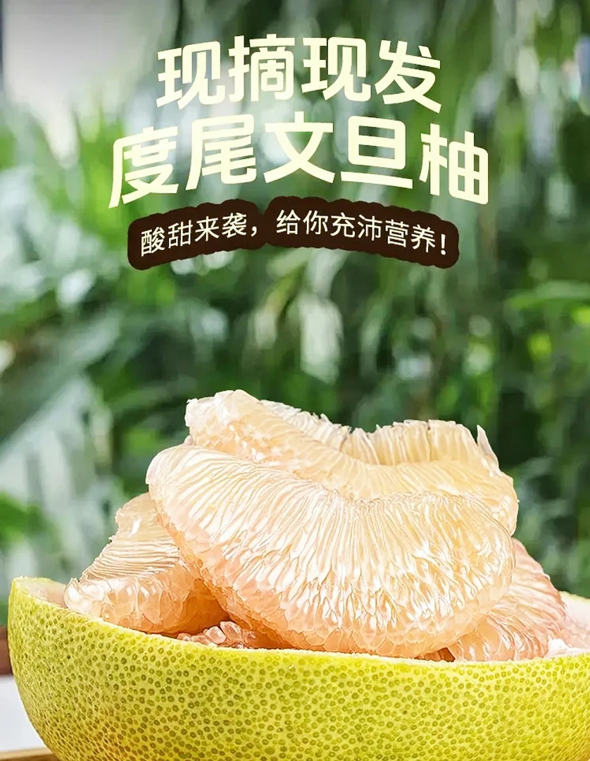 （袋装）正宗仙游度尾文旦柚 蜜柚当季柚子新鲜时令水果