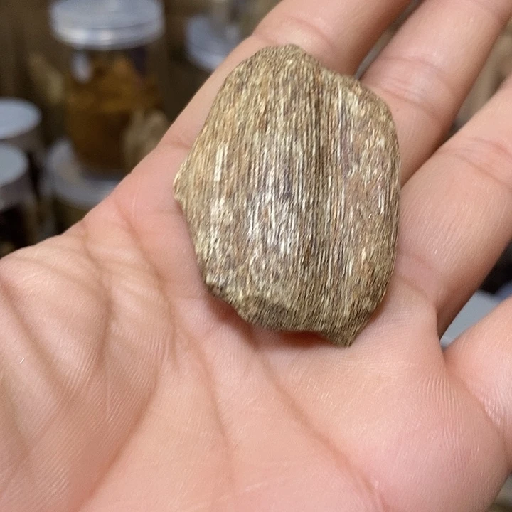 木质虫漏香3克甜凉味