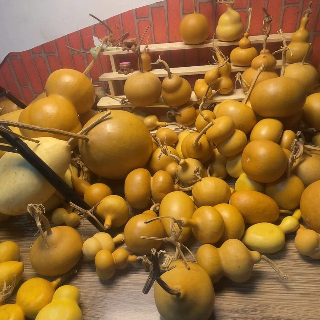 油***饼羊羔毛红红火火就哈哈哈哈哈哈