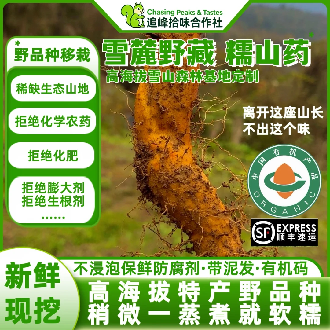 雪麓野藏有机糯山药5斤现挖新鲜特产高山森林非铁棍山药孩子辅食