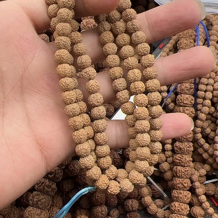 星***烂手串金刚菩提谢谢