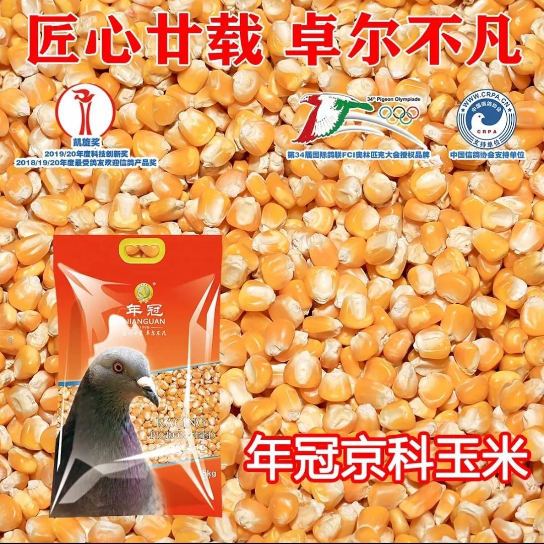 年冠京科纯玉米小玉米 京科玉米年冠玉米花鸽粮 鸽子信鸽赛鸽饲料