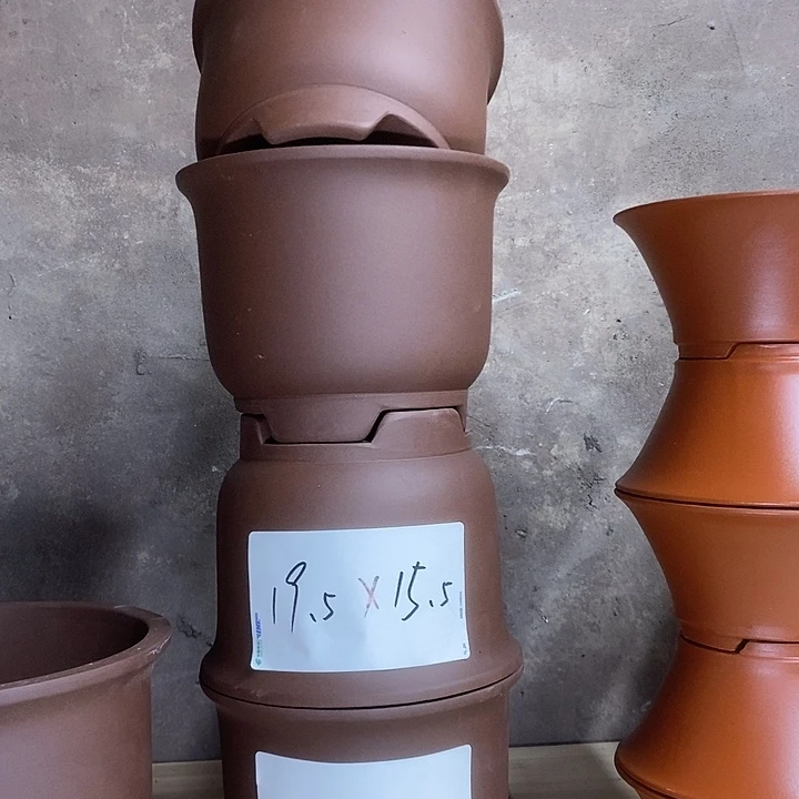 紫砂花盆我在外面