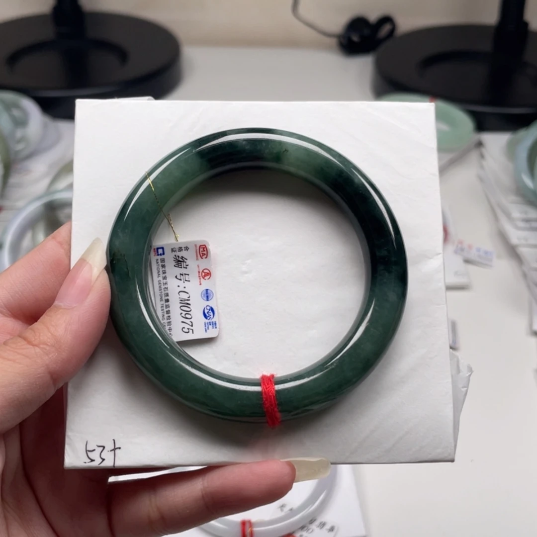 【闪购商品】未镶嵌手镯翡翠