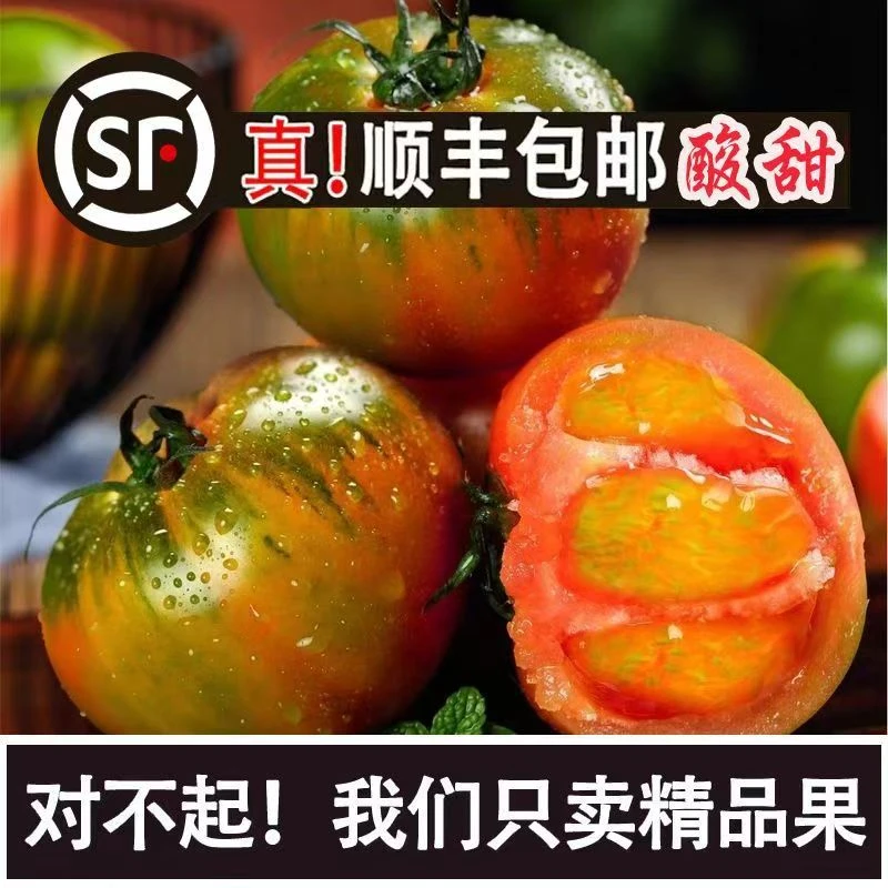 顺丰草莓柿子东北生吃柿子包赔番茄酸甜可口现发5斤3斤西红柿多汁