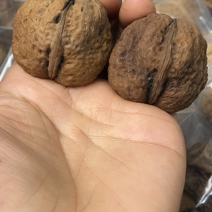文玩核桃把件云南铁核桃基地39